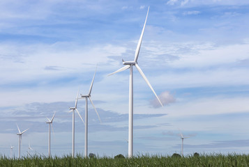 white wind turbines generating electricity in wind power station with sugar cane fields farmland under blue sky background        