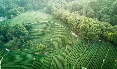 Tuinposter Aerial view of Chinese tea plantation © Jason