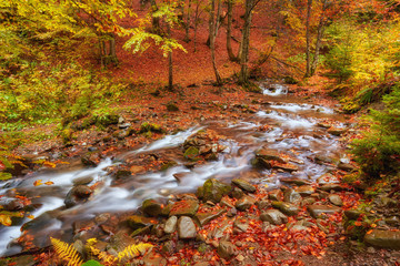 rapid mountain river in autumn.