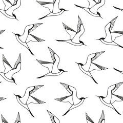 Seamless vector pattern with seagulls. Decorative graphic pattern