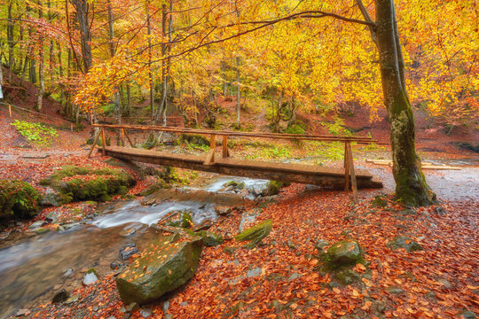 Autumn landscape - wooden bridge in the autumn park