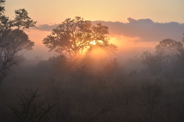 African sunrise