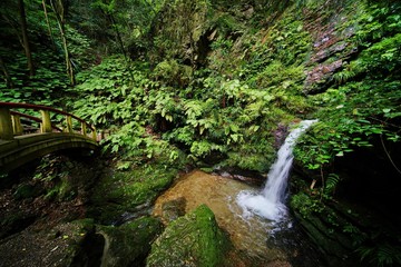 Obraz premium 黒山三滝