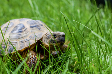 He caught me creeping...