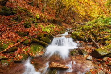 Beautiful waterfall at mountain river in colorful autumn forest with red and orange leaves at sunset.