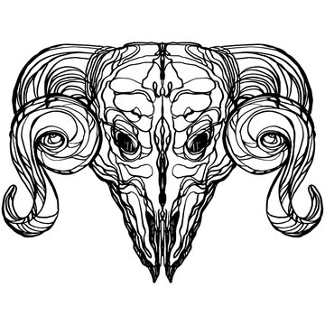 Realistic detailed hand drawn illustration of an old animal skull with big horns. Graphic tattoo style art on occult theme. Design for t-shirt print.