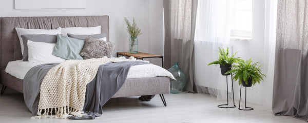 Spacious bedroom with plants