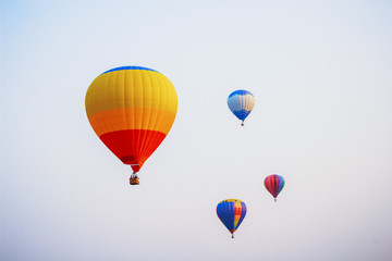 hot air balloons in the sky