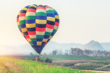 Naklejka premium Hot air balloon over flower fields against blue sky