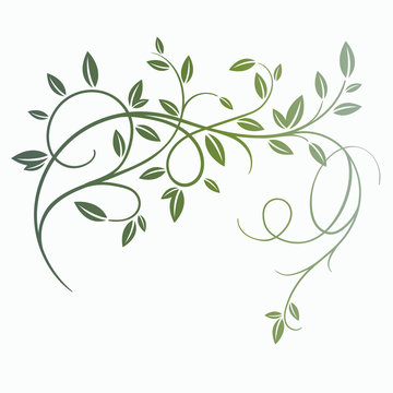  vector vintage spring tree branch with leaves