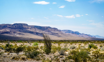 The desert landscape in southern California with some beautiful mountains as a backdrop.