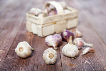 Garlic. Garlic Cloves and Garlic Bulb on a wooden vintage rustic table.