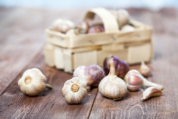 Garlic. Garlic Cloves and Garlic Bulb on a wooden vintage rustic table.