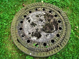 Gullideckel mit Moos und Klee