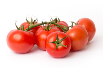 tomatoes on a white background