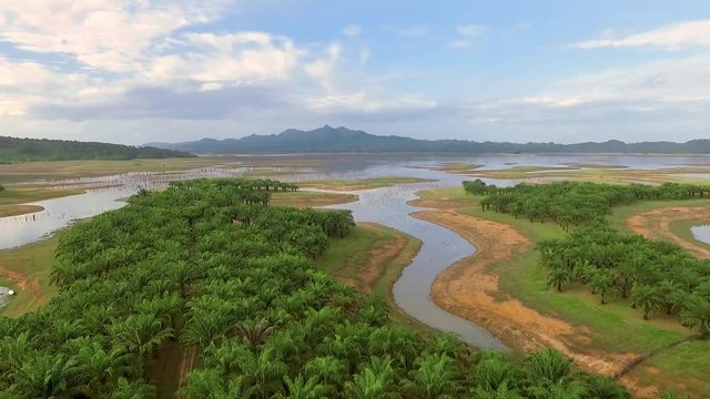 Aerial view of river indented lake with coves and inlets, with banks covered by palm trees and mountains in background. Shot with drone on day with blue sky in Riau, Sumatra, Indonesia, fly backwards