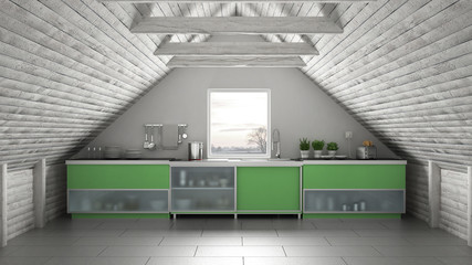 Scandinavia industrial kitchen, loft mezzanine, roof architecture white and green interior design