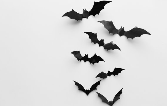 halloween decoration of bats over white background
