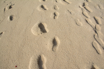 many footprints on the beach, sand