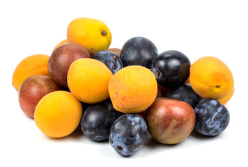  Apricots and plums on white background