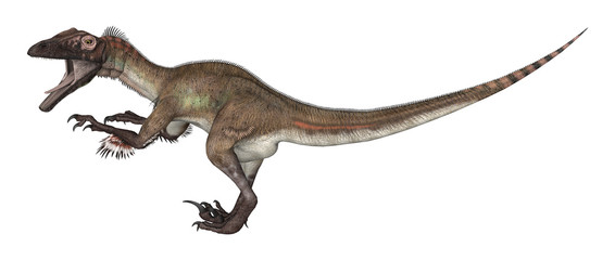 Obraz na płótnie Canvas 3D Rendering Dinosaur Utahraptor on White