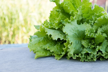 Green lettuce leaves. Lettuce leaves wooden background. Fresh lettuce on kitchen table. Healthy organic food.