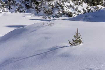 Alpen, Winter, Urlaub, Freizeit, Wandern, Schnee, Sonne