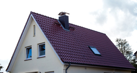 Tiled roof of the house