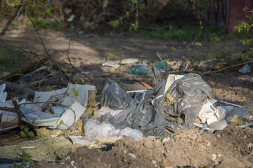 Landfill nature forrest problem pollution background