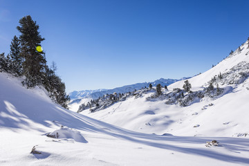 Alpen, Winter, Urlaub, Freizeit, Wandern, Schnee, Sonne