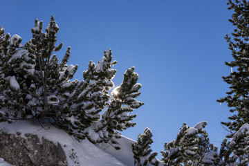 Alpen, Winter, Urlaub, Freizeit, Wandern, Schnee, Sonne, Halo, Rainbow