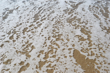 Sea foam on the sand