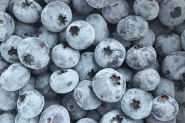 ripe fresh mellow blueberries. background