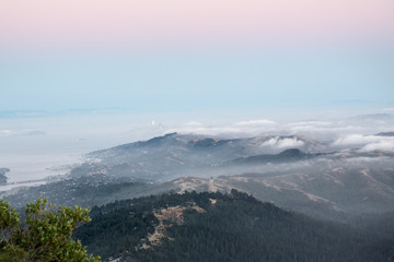 Fototapeta premium mount tam