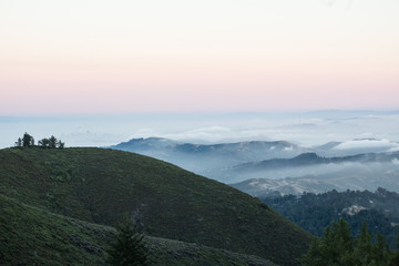 mount tam