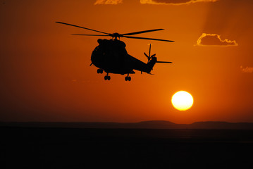 Fototapeta na wymiar helicopter Puma