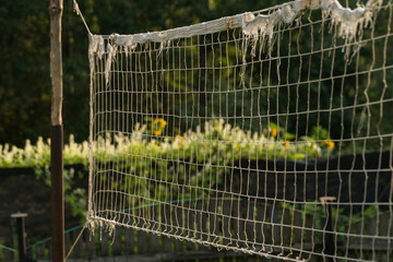 An old volleyball net on a country plot