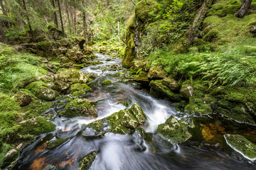 Fototapeta na wymiar Water flow in a stream, long exposure