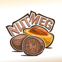 Vector logo for Nutmeg: fresh muscat nut in yellow shell and dry brown edible myristica fragrans, poster for cooking spice with title - nutmeg, label for organic product with nutmeg flavor on white.