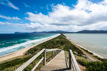 The Neck Bruny Island