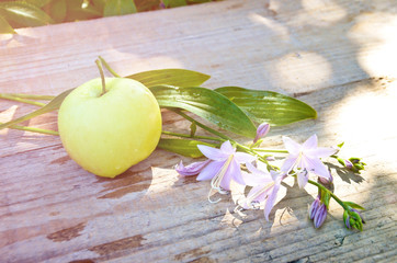 Apple and flower bell