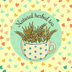 Vector illustration sketch card - natural herbal tea