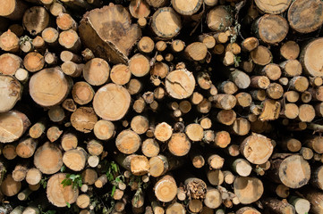 A background of a stack of logs.