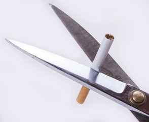Cigarette is cutting with scissors to quit smoking