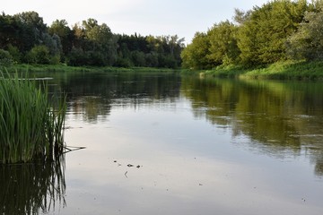 Krajobraz z nad rzeki ,panorama