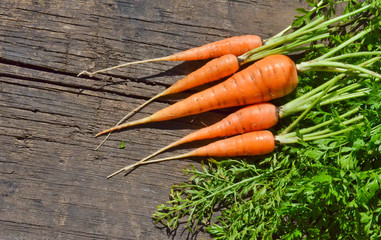 baby carrots and green tops