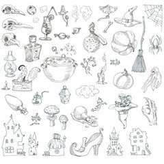 Set items for Halloween: skulls of birds, pumpkins, lamps, home, web, broomstick, toadstool, potion, flask, sweets. The sketch marker. Vector