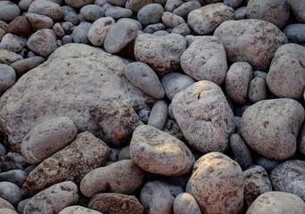 Stone ground in the park for background / texture / pattern