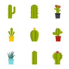 Succulent icon set, flat style