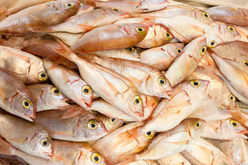 Sea fish on market stalls